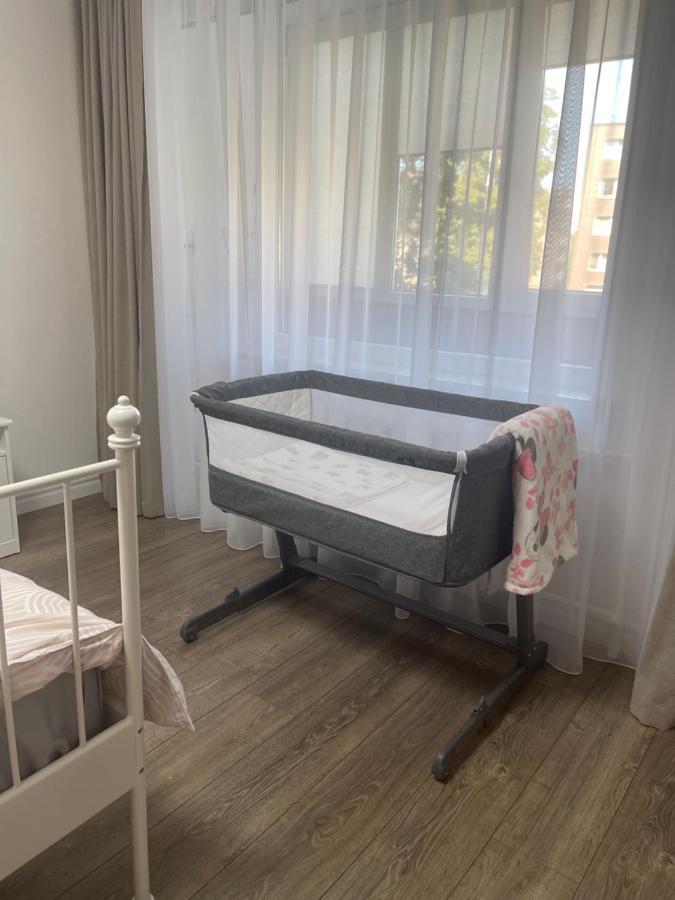 Apartments In The City Center Birzai Vytauto G22 Kültér fotó